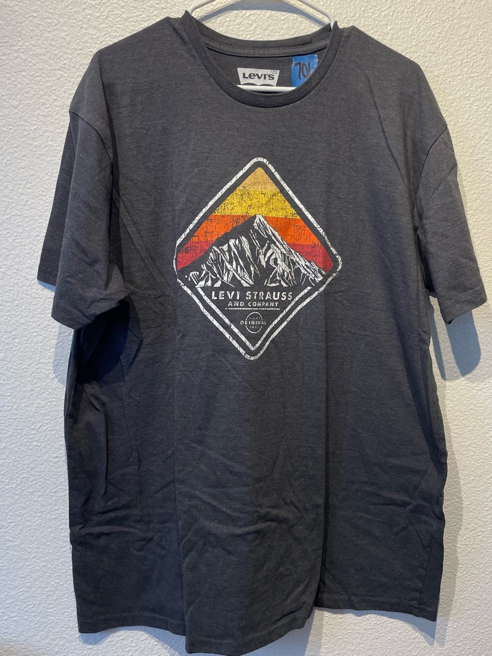 Levi's Charcoal Graphic Mountain Tee with Yellow & Red Stripes